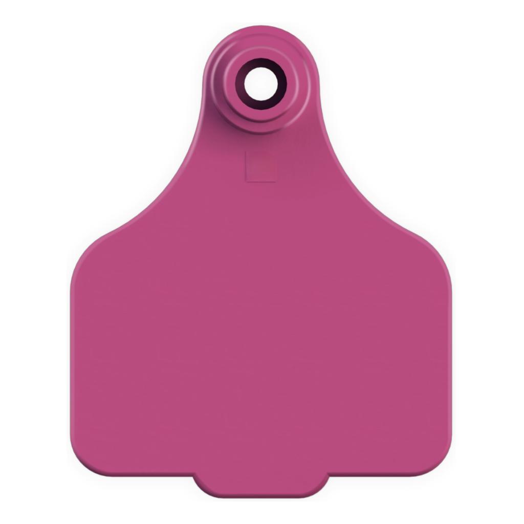 Ag Assist - Cattle Ear Tag Keyring - Custom Engraved Keychain & Luggage Tag