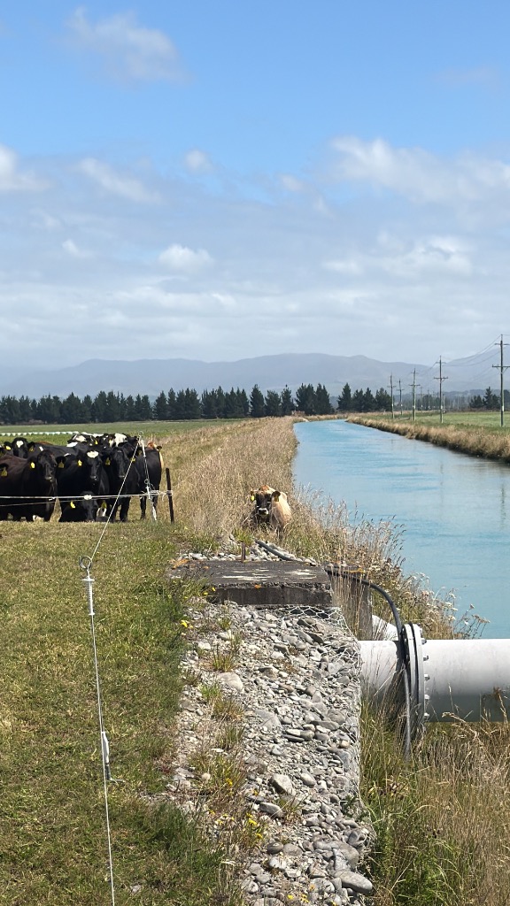 Ag Assist - Keegan Bensch