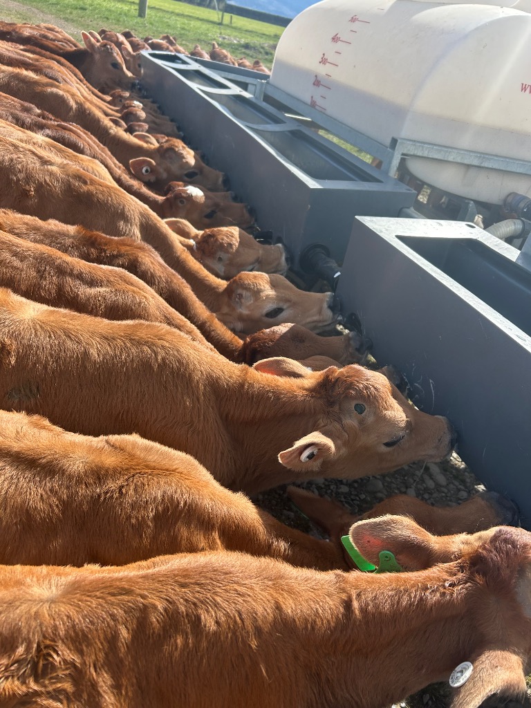 Ag Assist - Dairy farm assistant