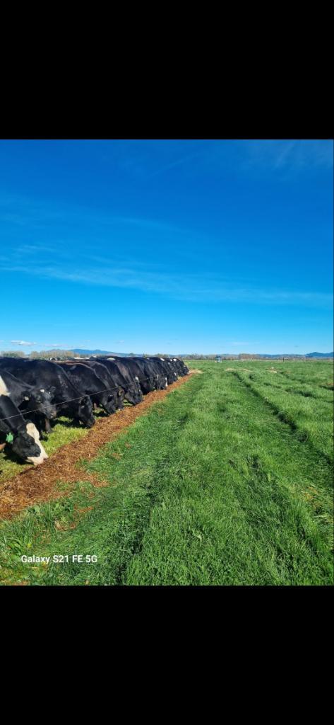 Ag Assist - Farm assistant/general good bugger