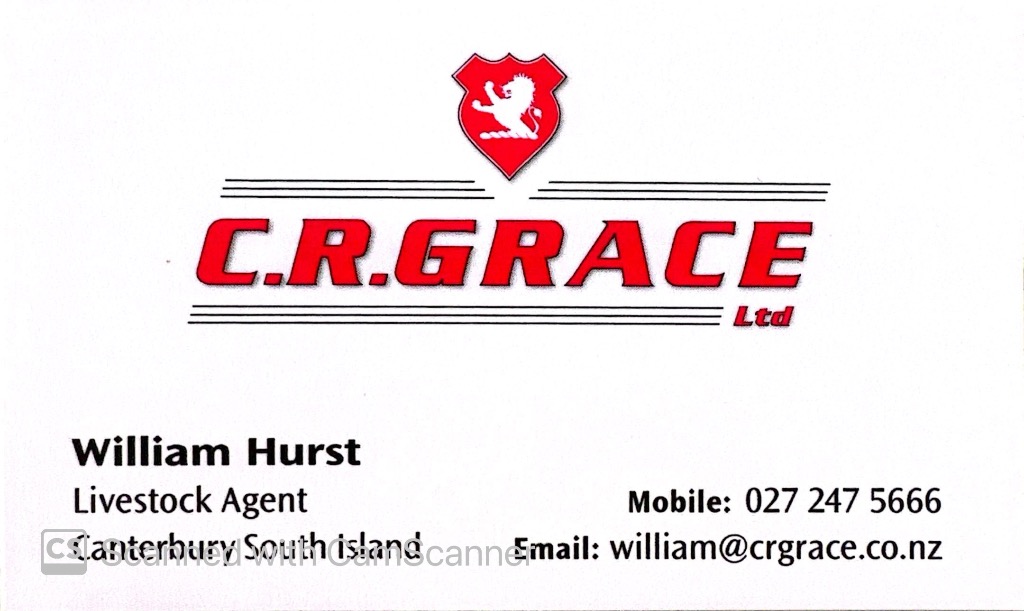 Ag Assist - Wanted Prime bull/ cull cows/ export prime/ heifers & Prime lamb/mutton