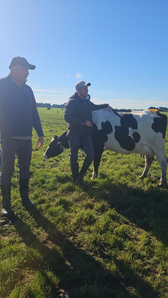 Ashburton Farm Assistant Position