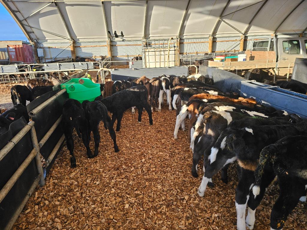 Ag Assist - Ashburton Farm Assistant Position