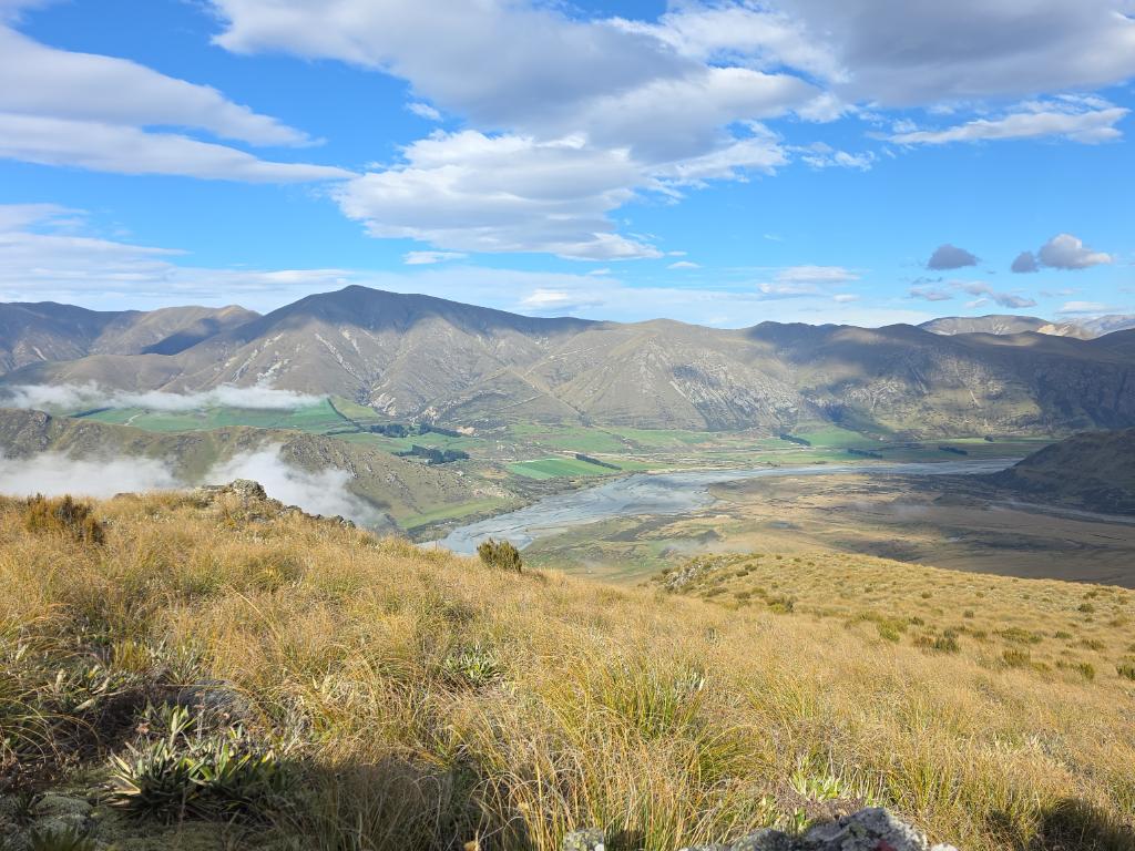 Outdoor Management,  Wildlife and pest services