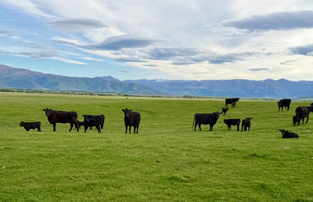Ag Assist - Tractor Driver/Farmhand