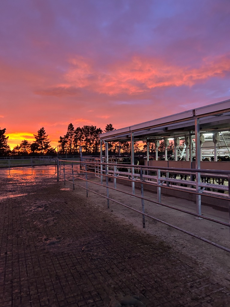 2IC - second in charge - Herd. Manager