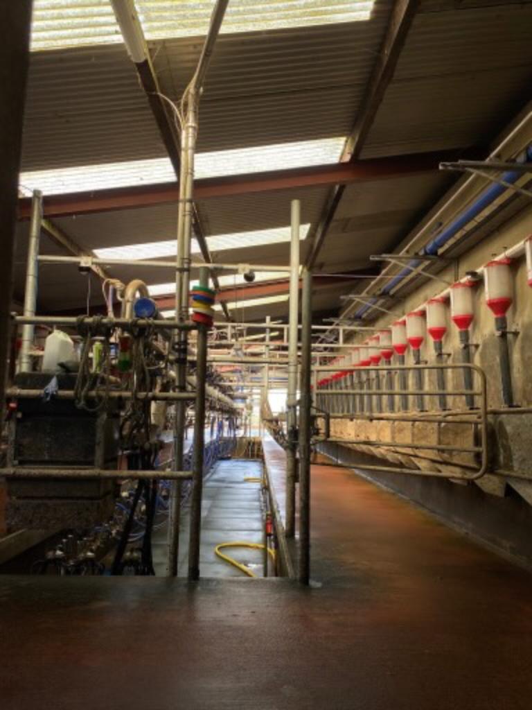 Ag Assist - Ireland Dairy Farm Work Spring 2026 Jan to May