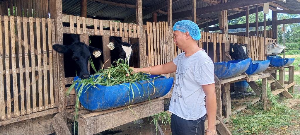 Ag Assist - Elwin Abejero