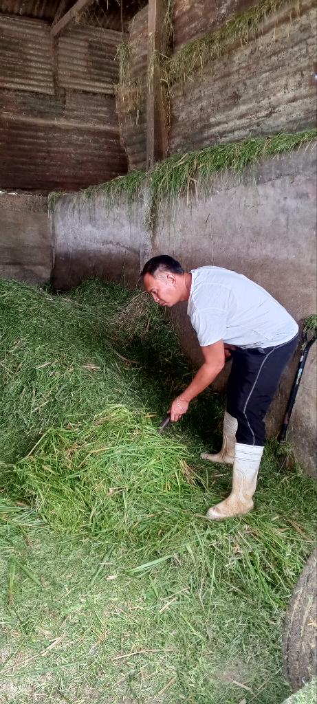 Ag Assist - Elwin Abejero