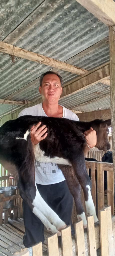Ag Assist - Elwin Abejero