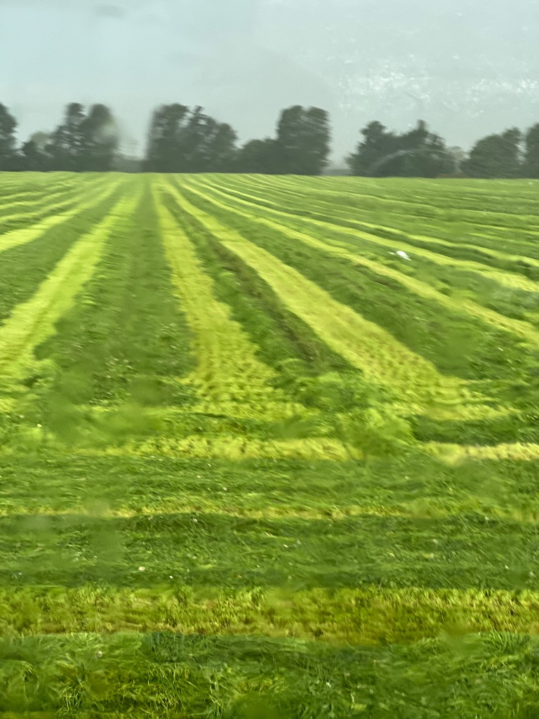 Ag Assist - Tractor/Digger operator