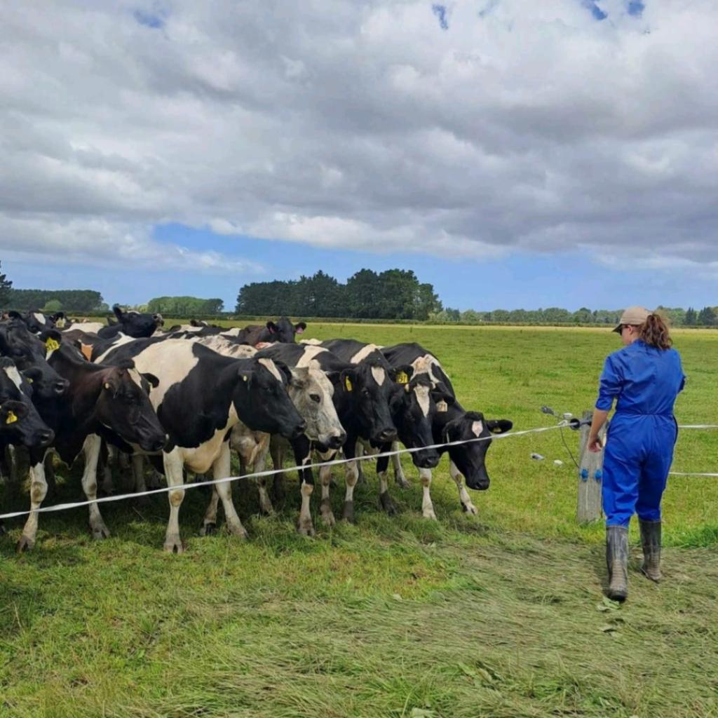 Ag Assist - Charlotte Wylie