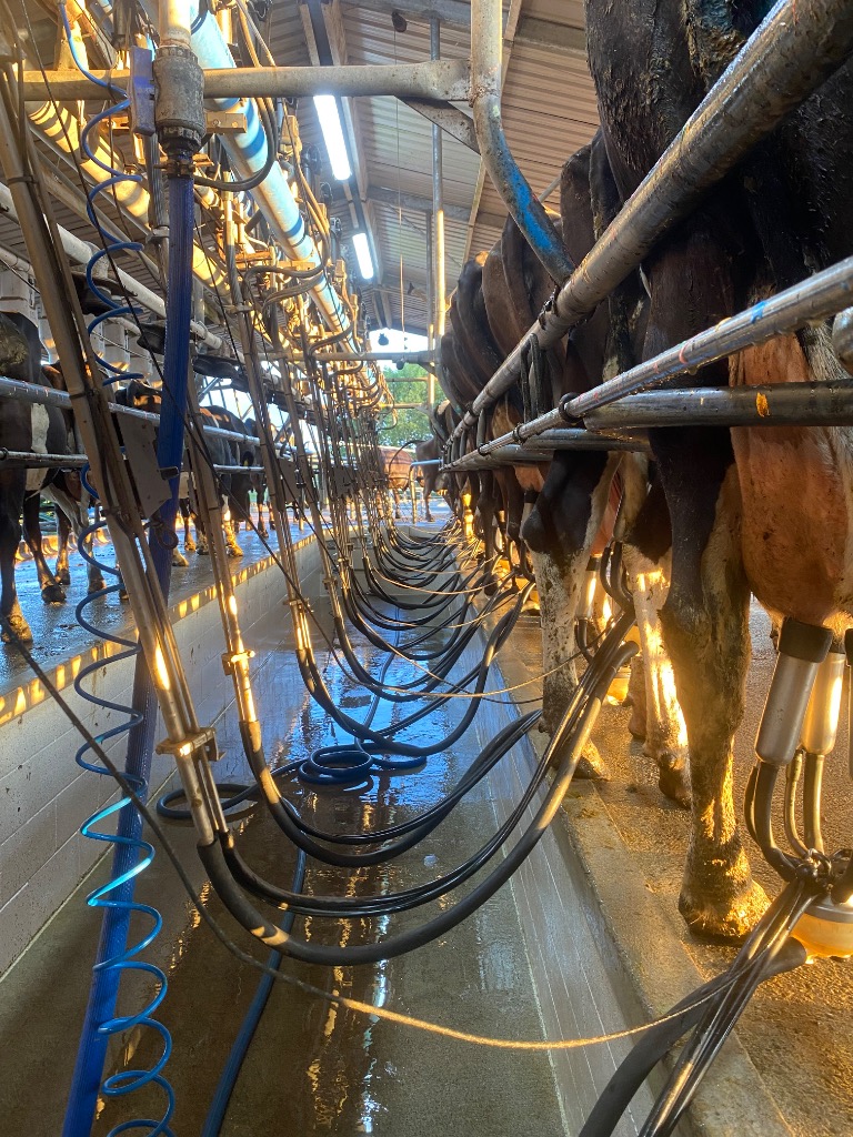 Ag Assist - Mackenzie  Kirk