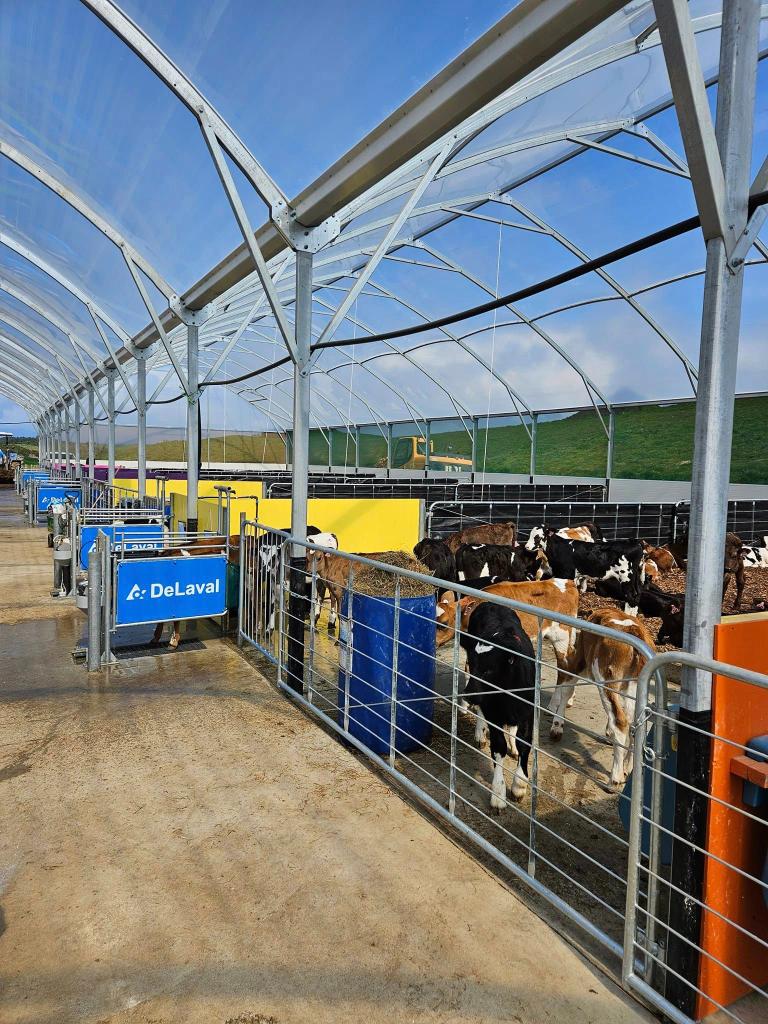 Ag Assist - 2IC or Dairy Assistant