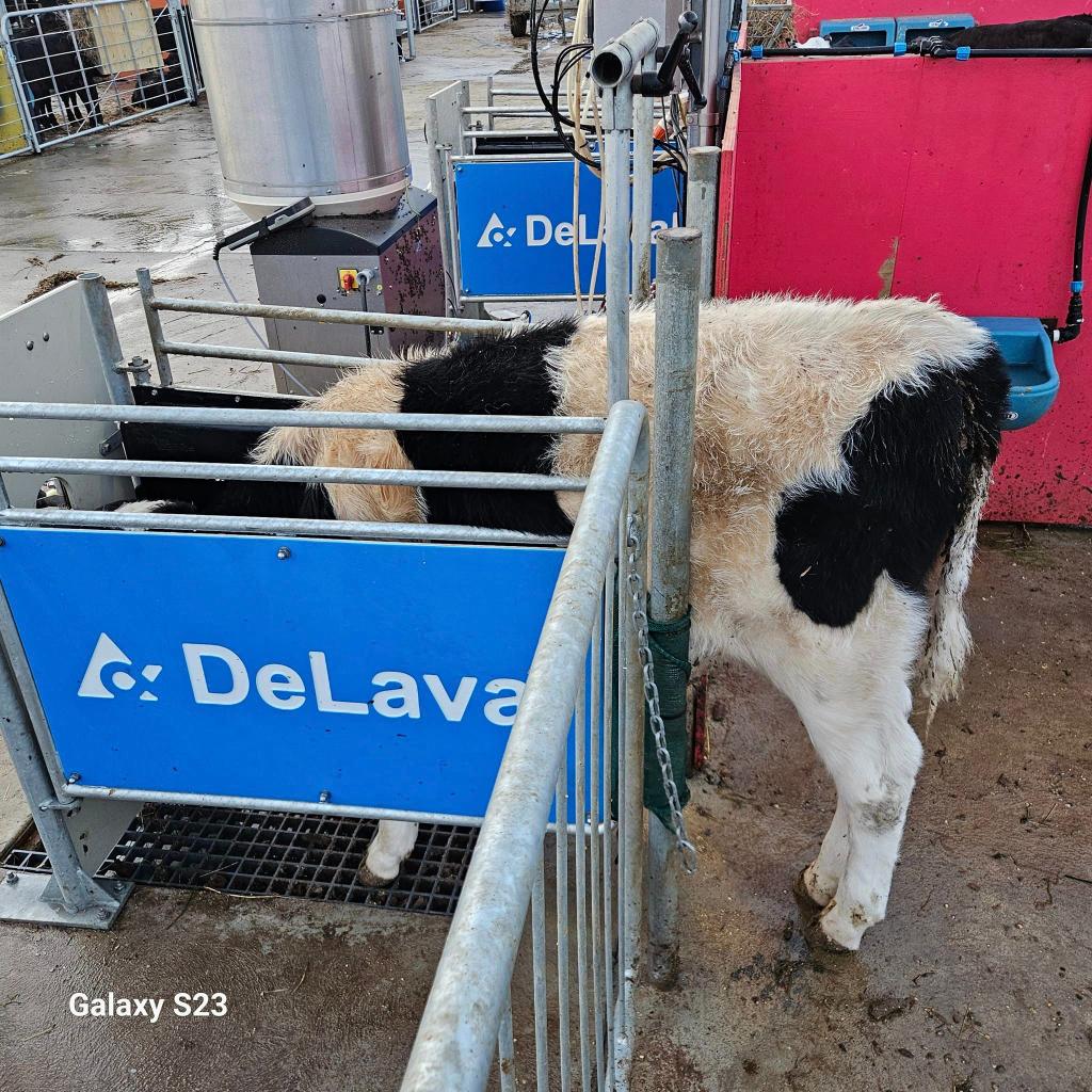 Ag Assist - 2IC or Dairy Assistant