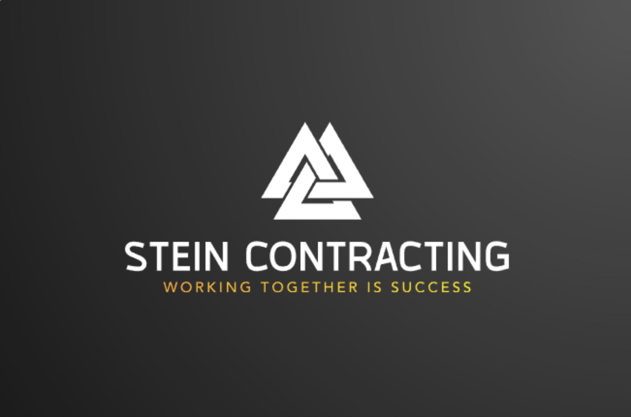 Dario Stein