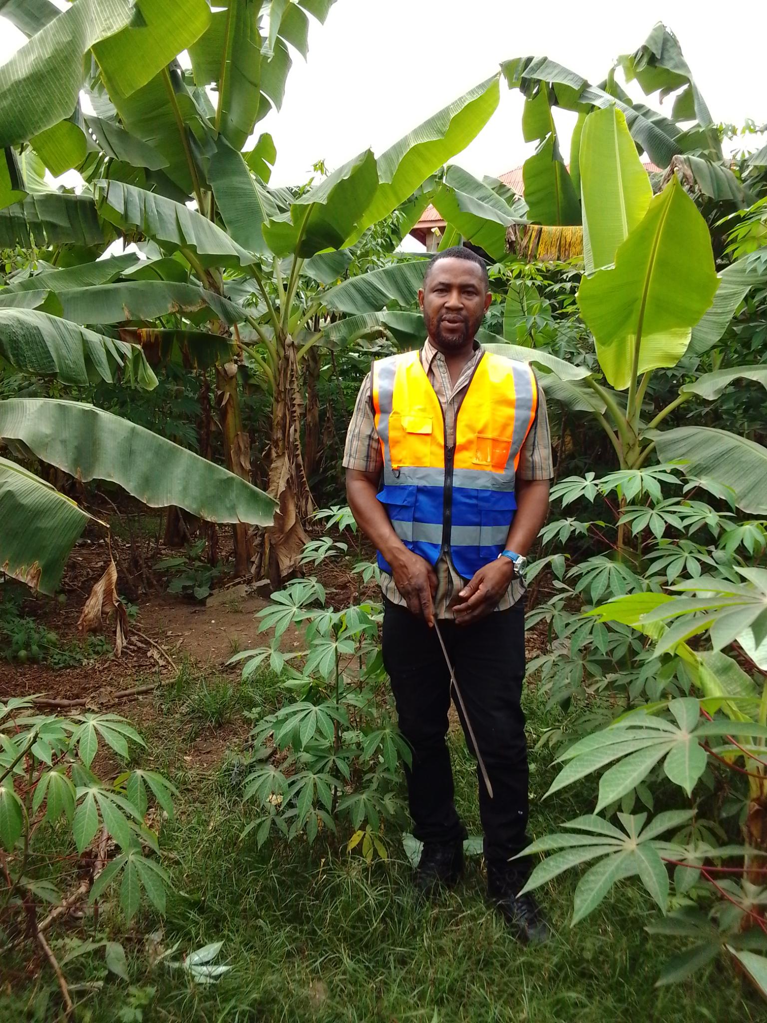 Adu Gyamfi Nicholas