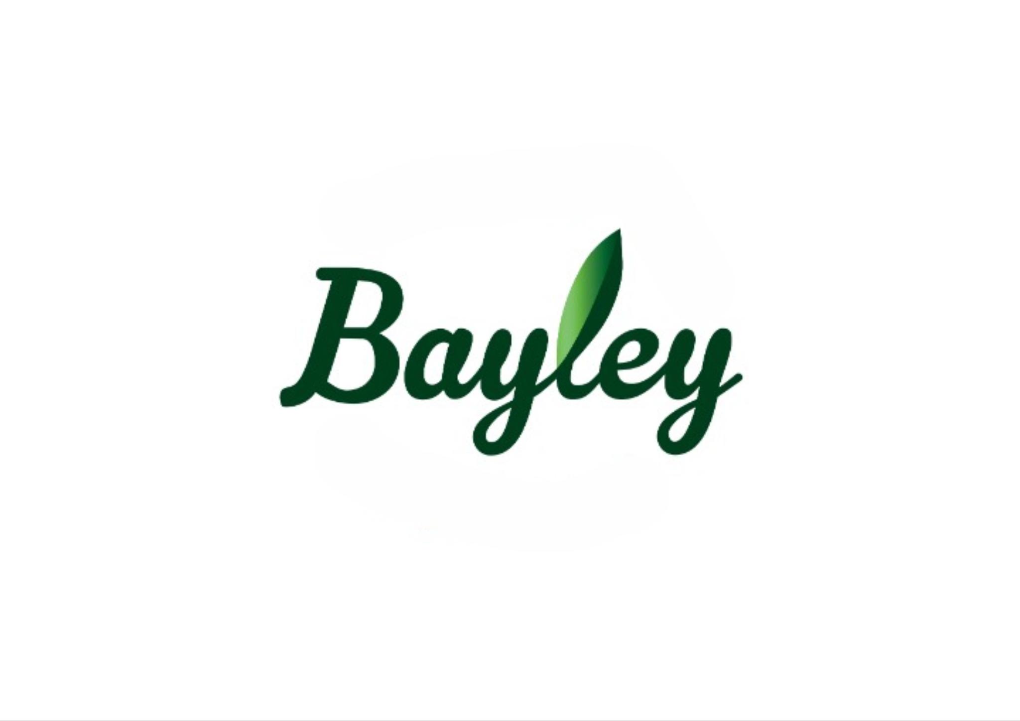 Max Bayley