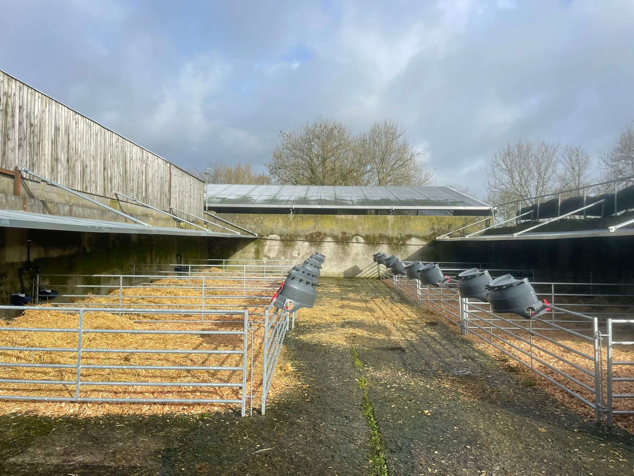 Ag Assist - Calf Rearer in Ireland wanted - January Start Date