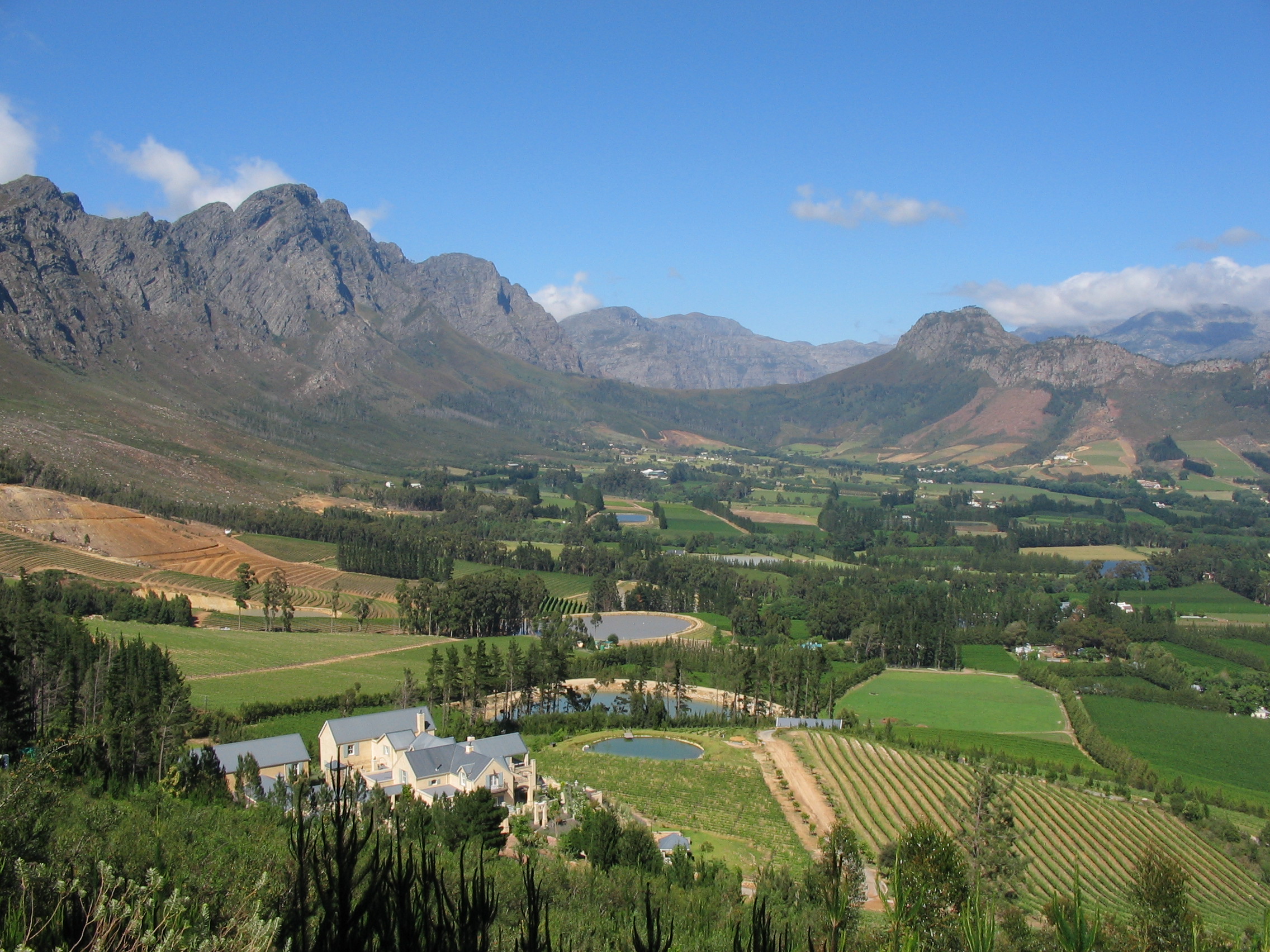 View of Franschhoek
