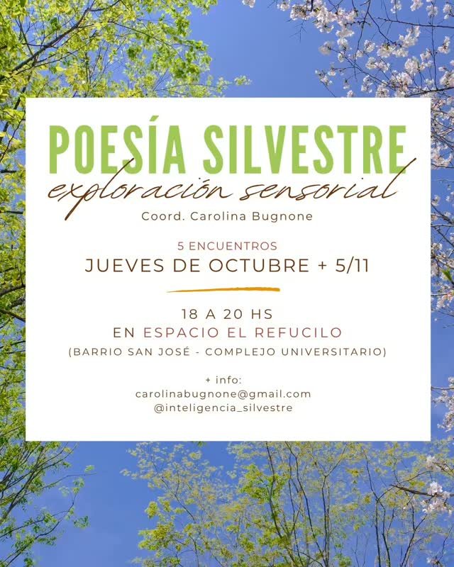 Imagen de Poesía silvestre: exploración sensorial