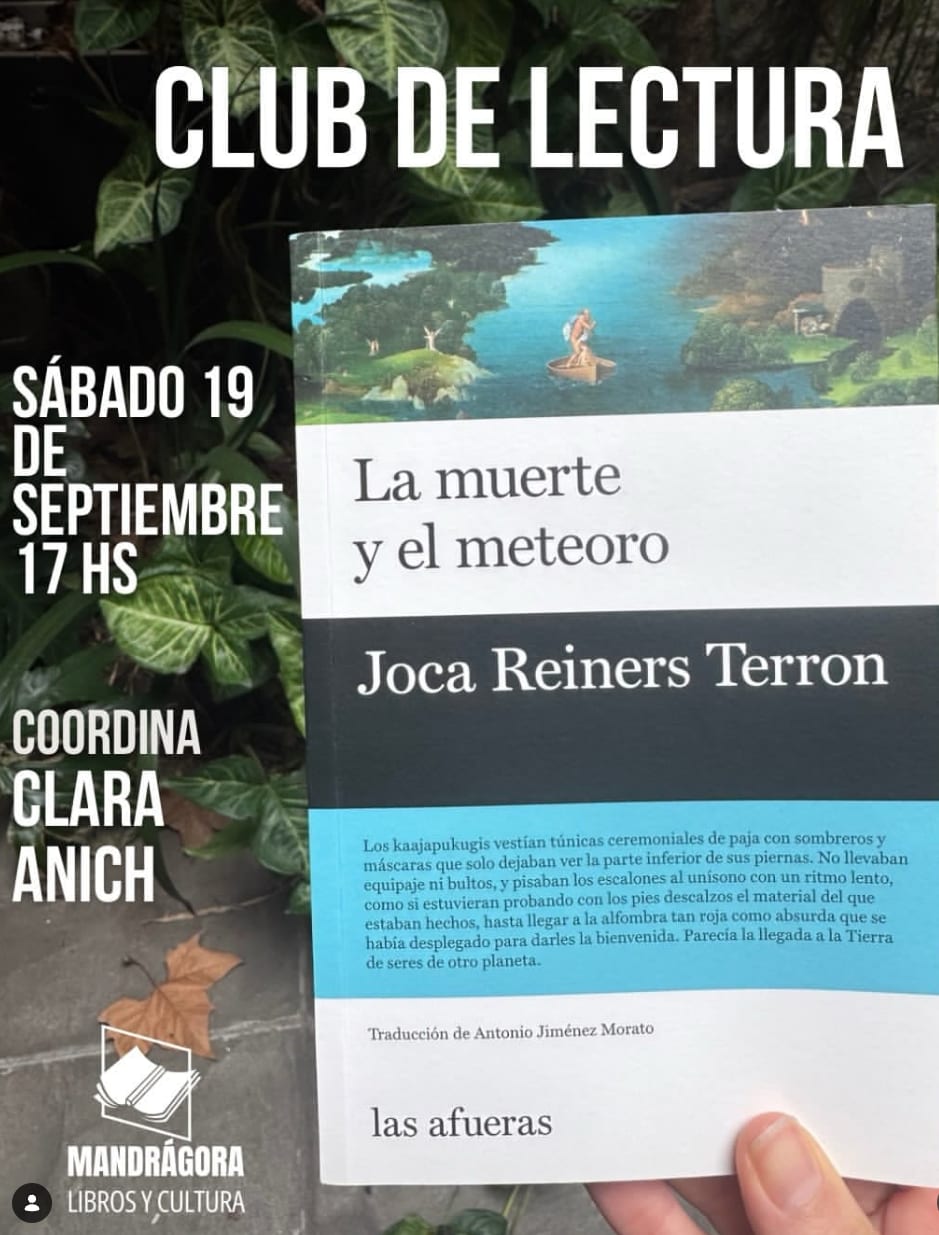 Imagen de Club de lectura - La muerte y el meteoro - Joca Reiners Terron