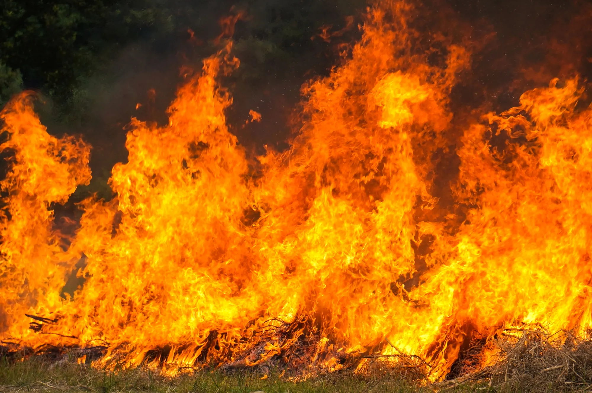 Francia, incendi fuori controllo: imprese in ginocchio e oltre 200mila sfollati