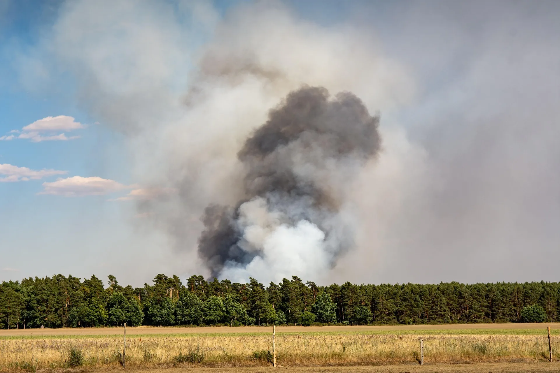 Incendio di rifiuti a Laurentina: avviata un'inchiesta. Ma i rischi per la salute restano un'incognita preoccupante