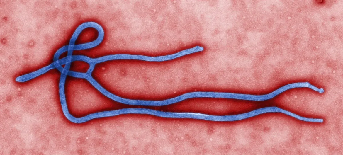 Ebola, allarme per la crescita dei contagi: sette province coinvolte