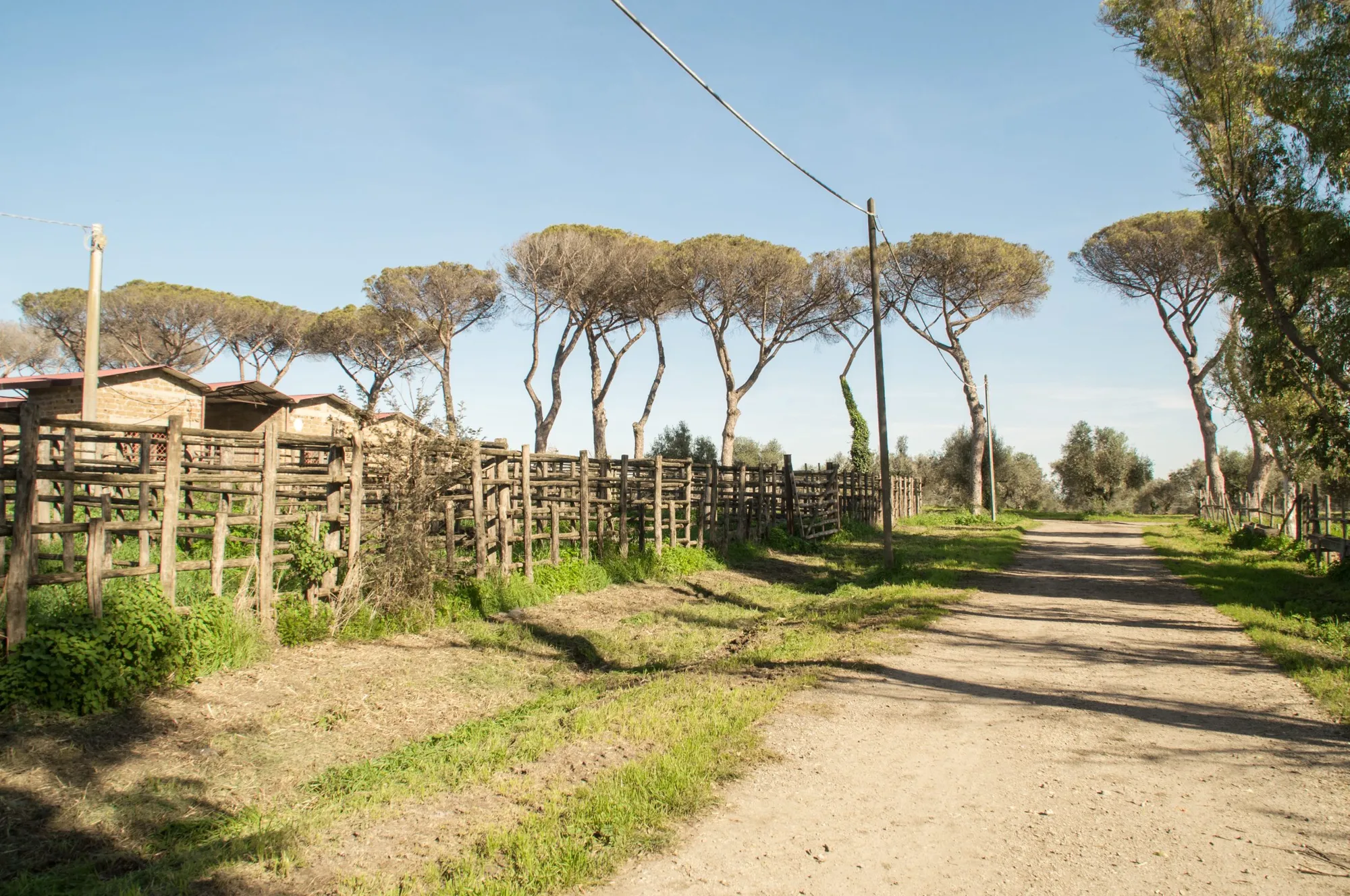 Cibo e identità, l’Agro Romano si racconta nei mercati della Capitale