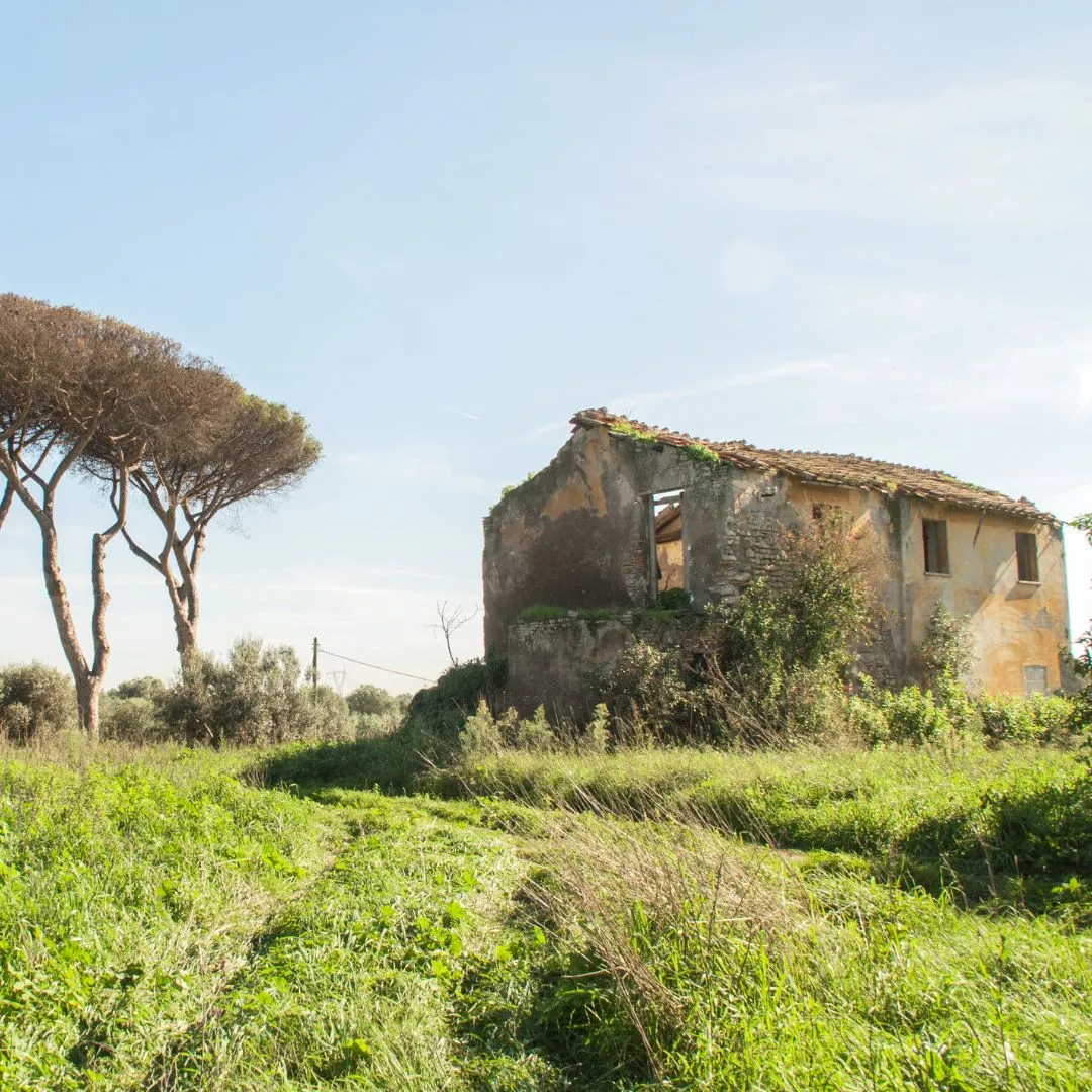 Agro Romano protagonista a Roma: quattro giornate tra sapori, tradizioni e cultura
