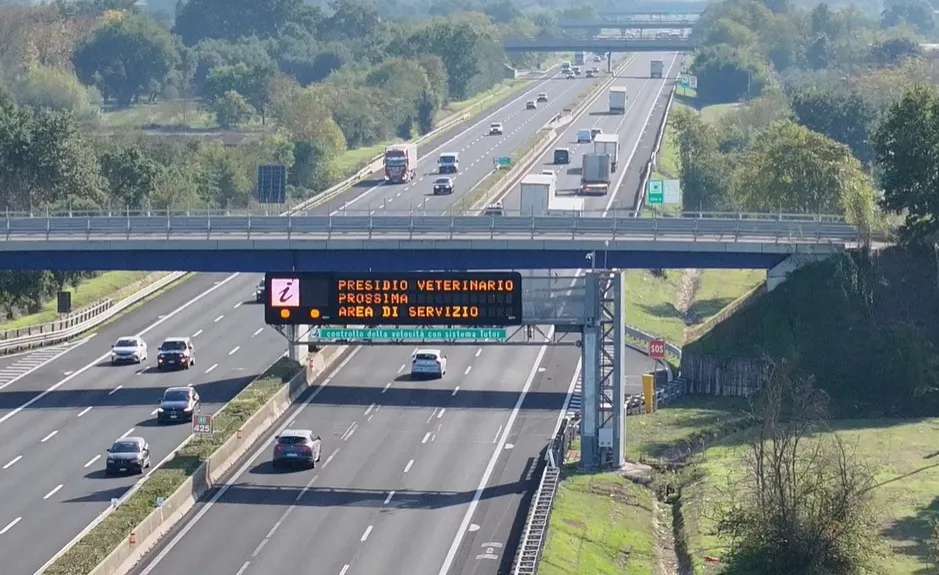 Trenta cani hanno trovato casa: il bilancio del progetto in autostrada