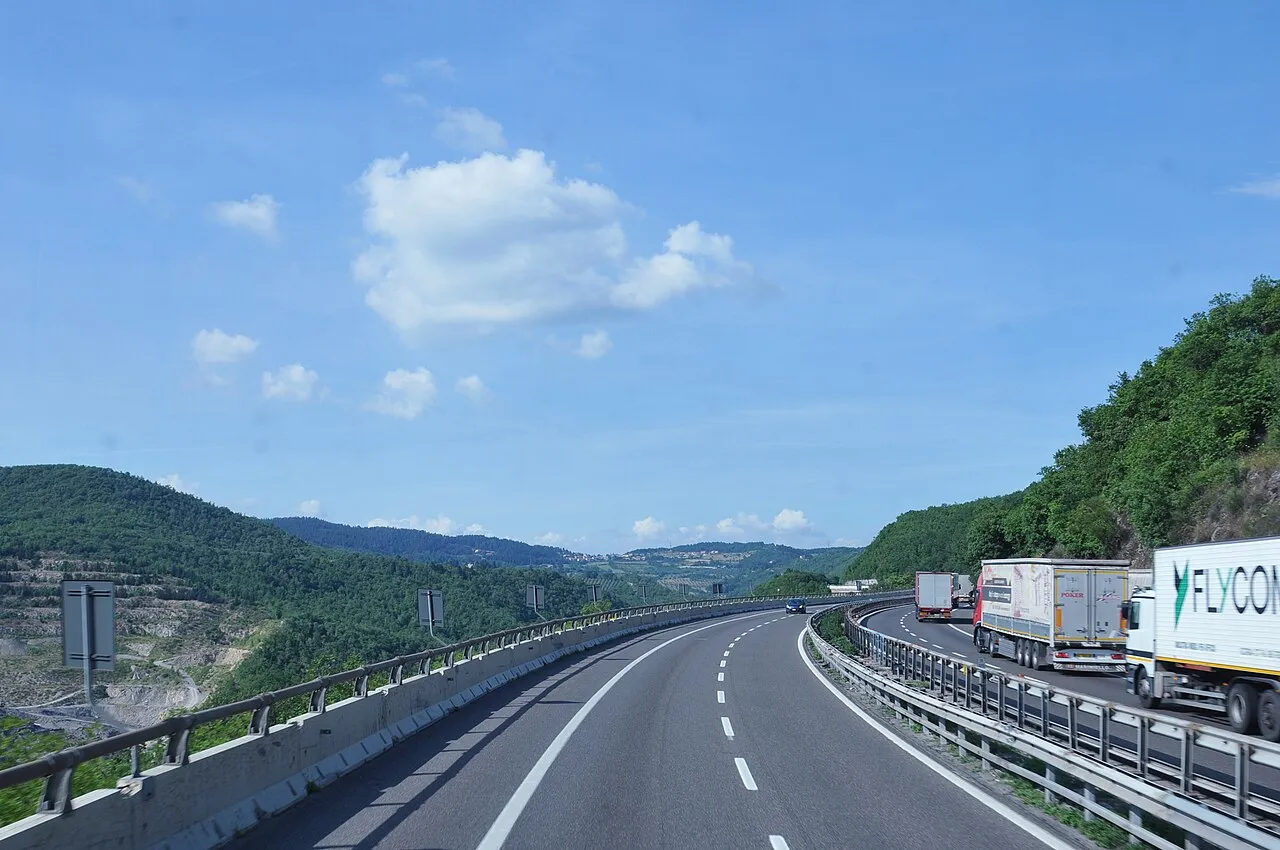 Microchip, visite e nuove famiglie: l'autostrada diventa punto di assistenza