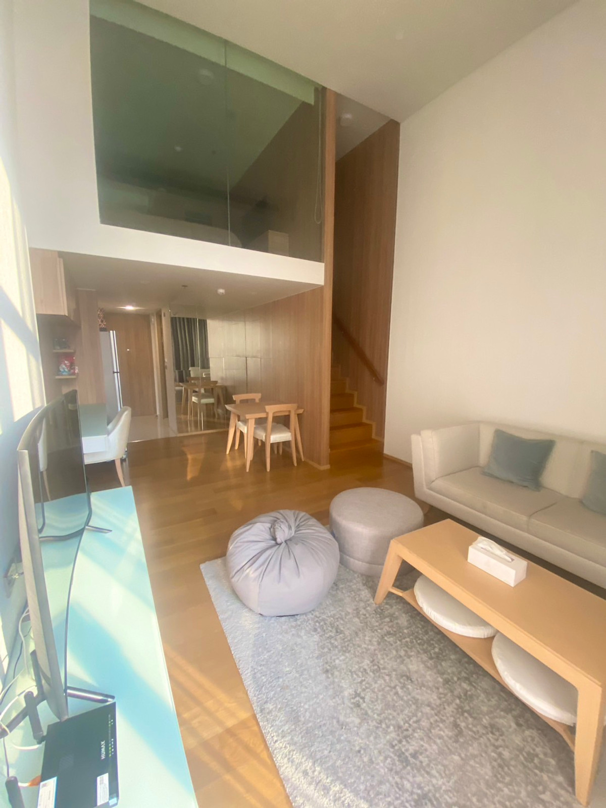 Siamese Exclusive 31