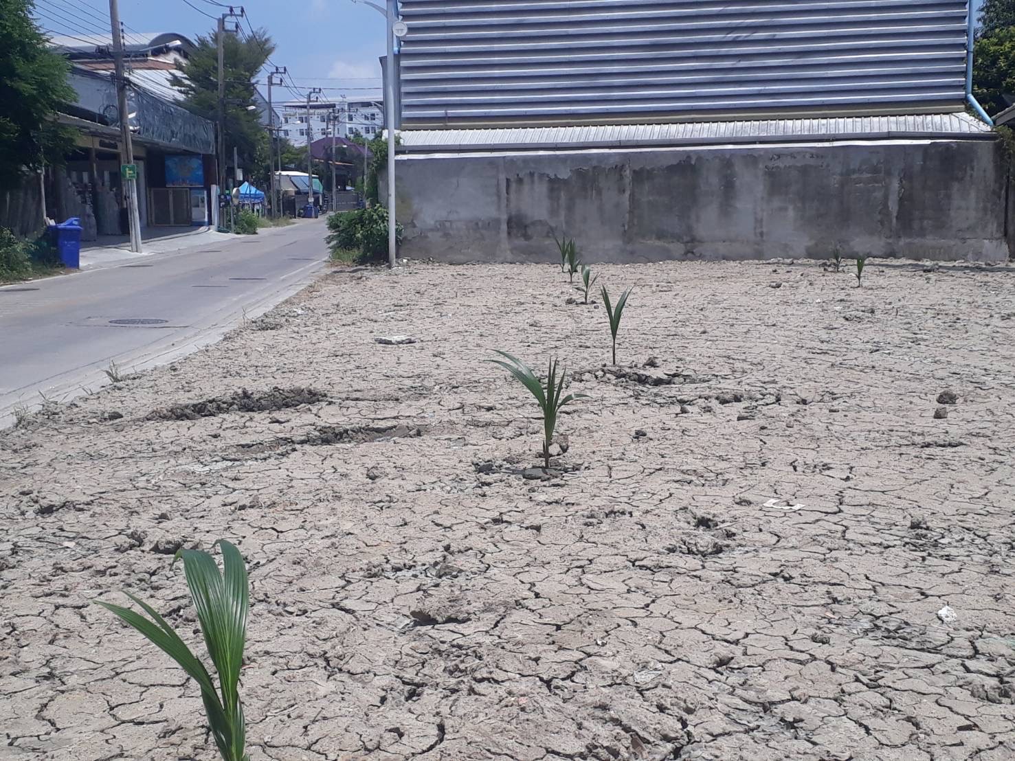 Land at Lasalle
