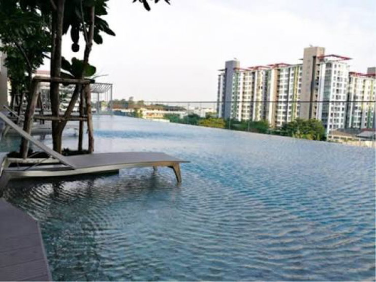 1-Bed Condo for Rent at Whizdom connect Sukhumvit – photo 11