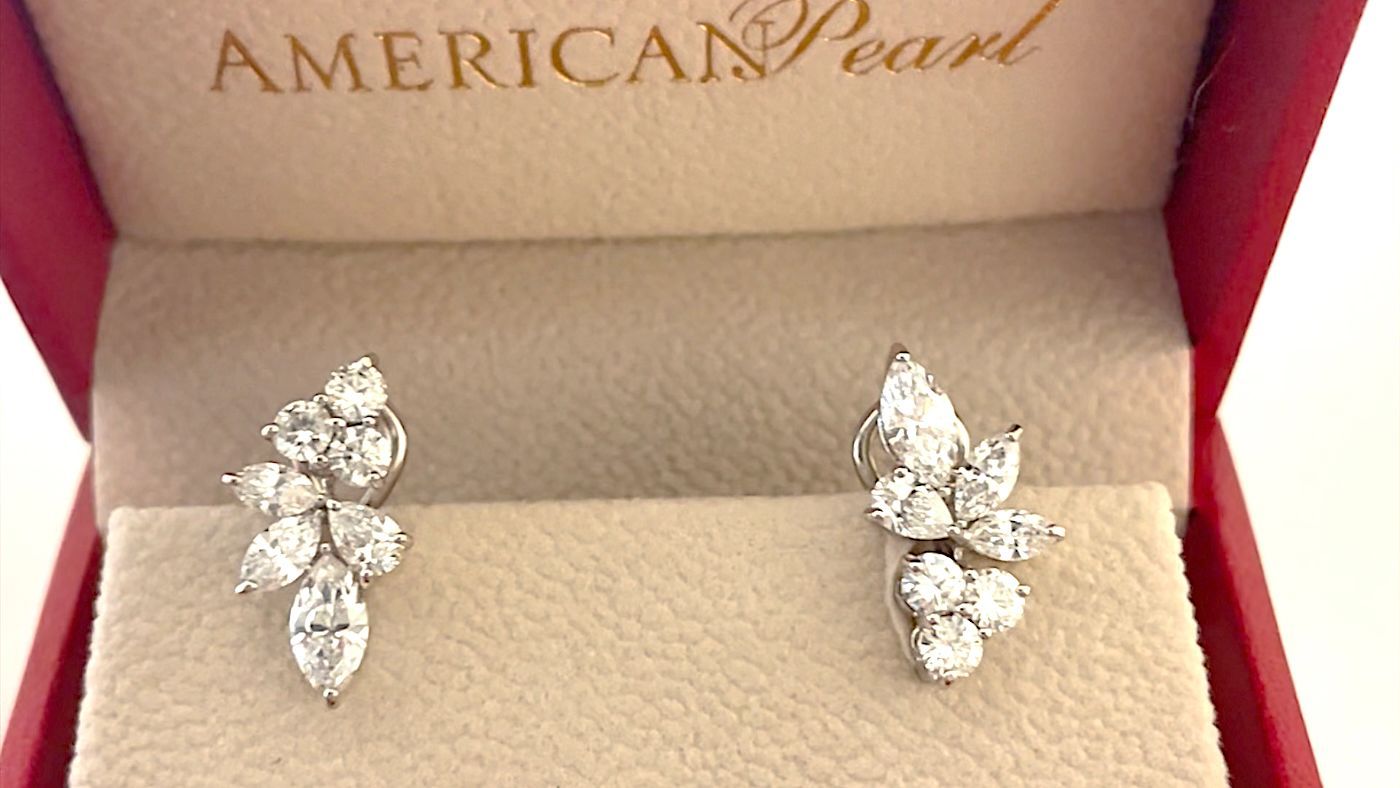 Artistry in Platinum and Diamonds