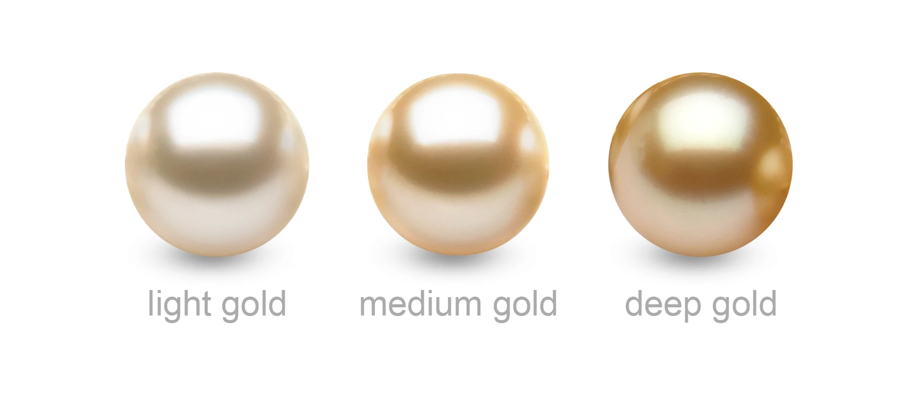 The most common golden South Sea pearl colors
