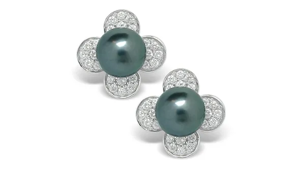 Black Pearl Earring Leilani Akoya Cultured
