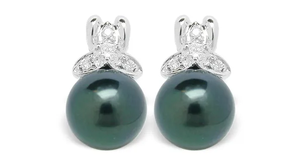 Black Pearl Earring Fedora Akoya Cultured