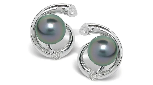Black Pearl Earring Jacosta Akoya Cultured