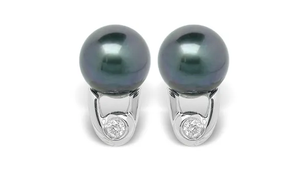 Black Pearl Earring Billy Akoya Cultured