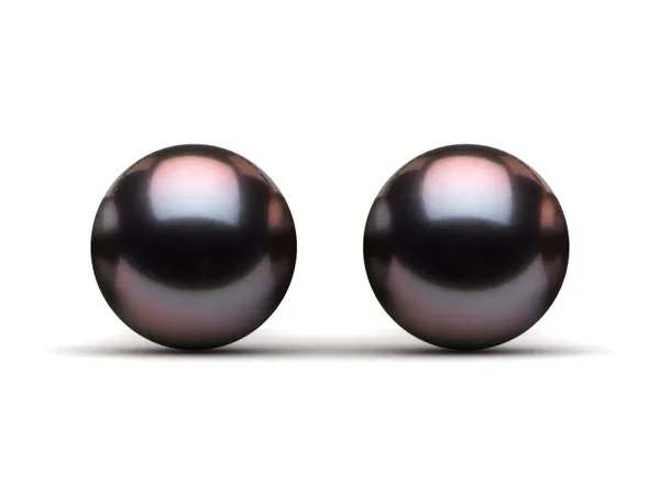 8mm Tahitian Pearl Earring Stud