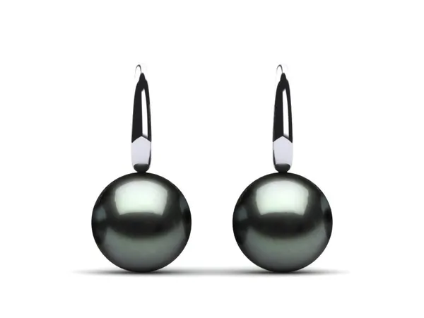 Special |Tahitian Pearl Dolphin Hook Earring 10mm