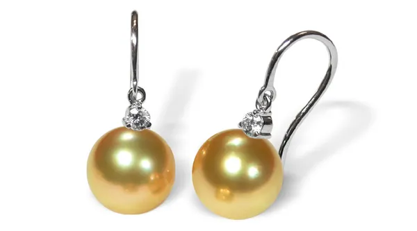 Novia a Golden South Sea Cultured Pearl Earring