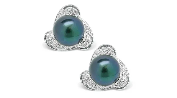 Black Pearl Earring Zelia Akoya Cultured