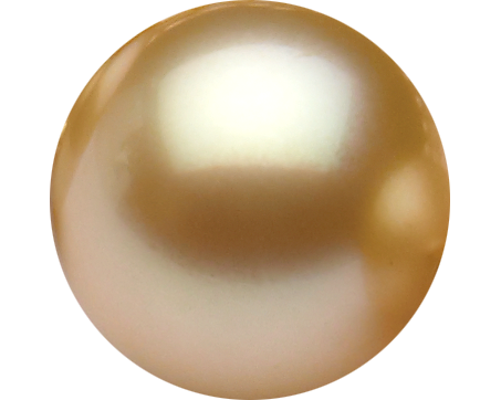Golden South Sea pearl