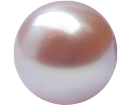 Freshwater pearl