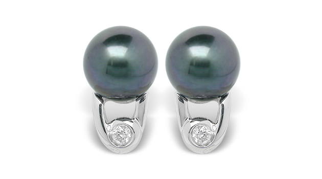 Black Pearl Earring Billy Akoya Cultured