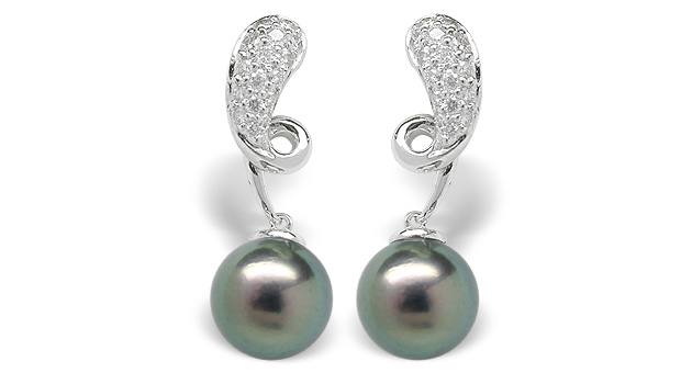 Black Pearl Earring Oliana Akoya Cultured